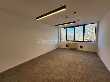 Cara Dušana | 4zida.rs