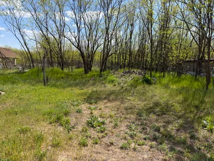 Pokret Nesvrstanih | 4zida.rs