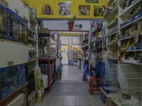 Nova Detelinara, Detelinara, Gradske lokacije, Novi Sad | 4zida.rs