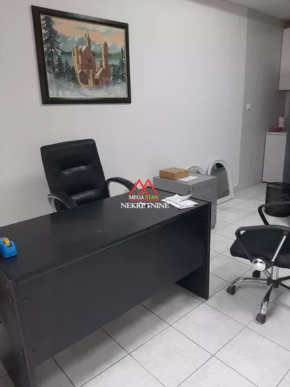 Petra Drapšina | 4zida.rs