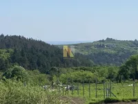 Bukovac, Gradske lokacije, Novi Sad | 4zida.rs
