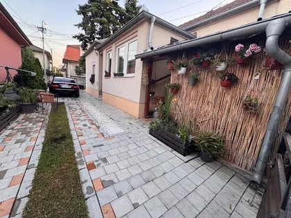 Mare Lukić Jelesić | 4zida.rs