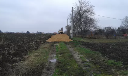 Majke Angeline bb | 4zida.rs