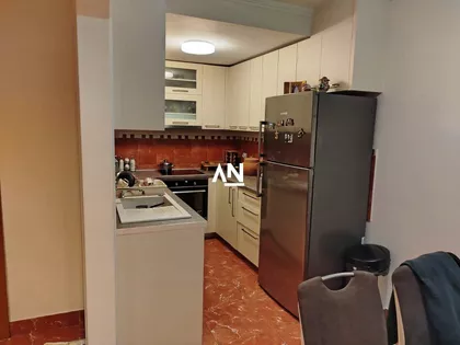 Dr. Teodora Borockog | 4zida.rs