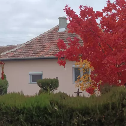 Radanovac | 4zida.rs