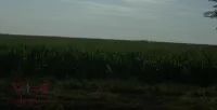 Poljoprivredno zemljište | 4zida