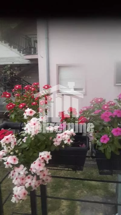 Slaviše Vajnera | 4zida.rs