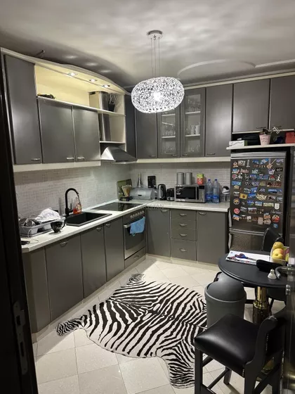 Petra Lekovića | 4zida.rs