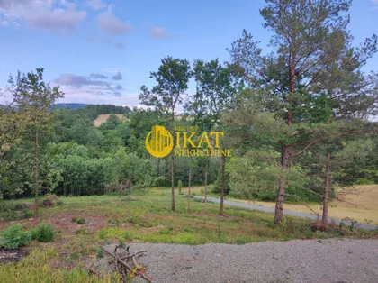 Čeda Vujadinovića | 4zida.rs