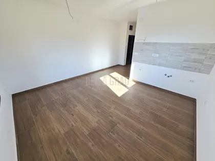 Belog narcisa | 4zida.rs