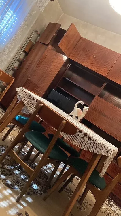 Sinđelićeva 114 | 4zida.rs