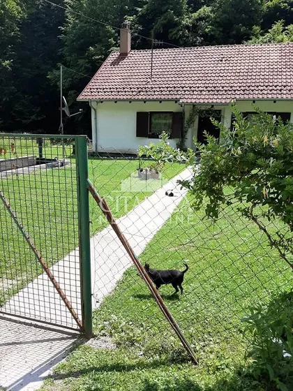 Bobija | 4zida.rs