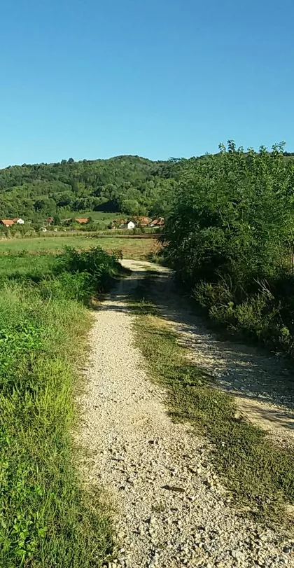 Save Nikolića | 4zida.rs