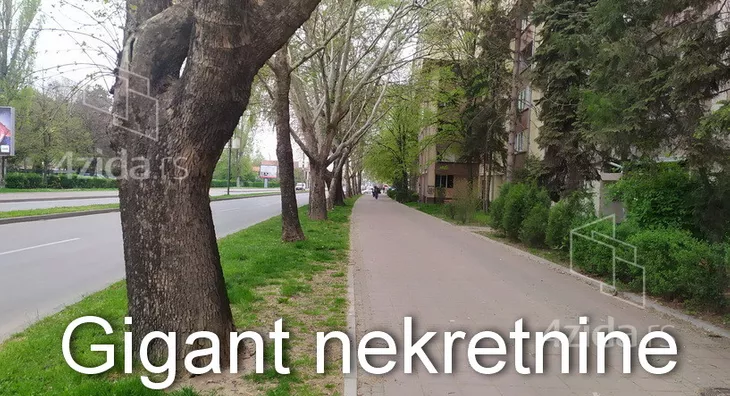Plac | 4zida