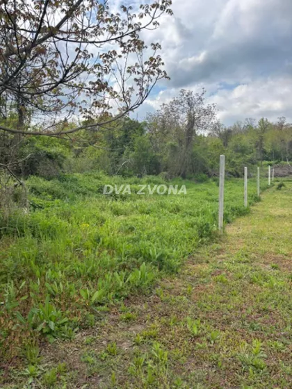 Čortanovci | 4zida.rs