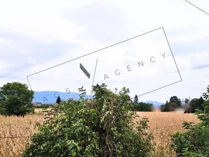 Vrba | 4zida.rs