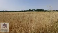 Poljoprivredno zemljište | 4zida