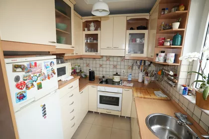 Sava Kovačević | 4zida.rs