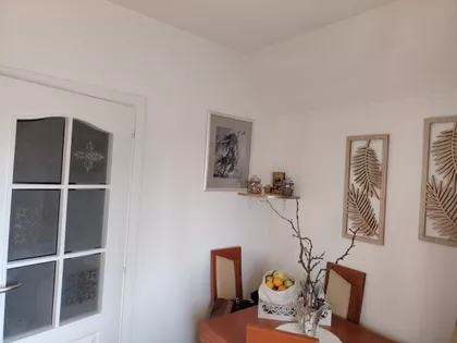 Žike Mesarovića | 4zida.rs