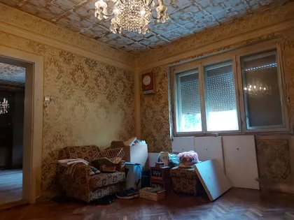 Šandora Olaha | 4zida.rs