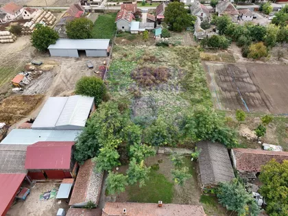Despotovo | 4zida.rs