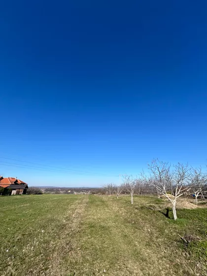 Miodraga Petrovića Čkalje | 4zida.rs