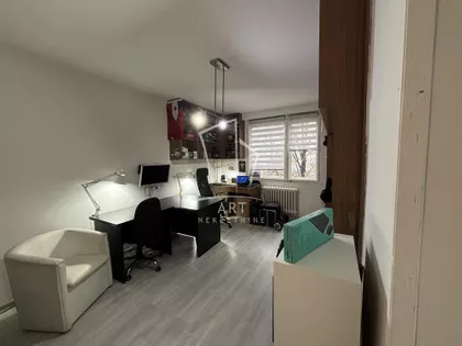 Darinke Radović | 4zida.rs