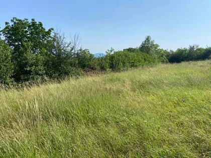 Jakova Nenadovica | 4zida.rs