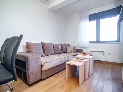 Dr Dragoslava Zeka Smiljanića | 4zida.rs