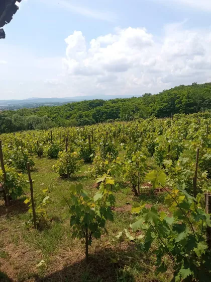 Donja Rača | 4zida.rs