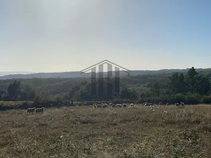 Jezero | 4zida.rs
