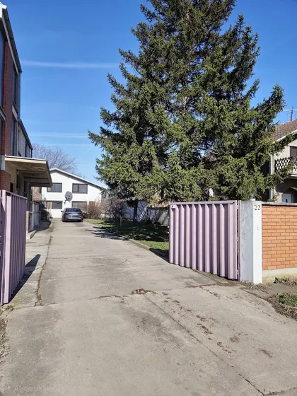 Zore Avakumović | 4zida.rs