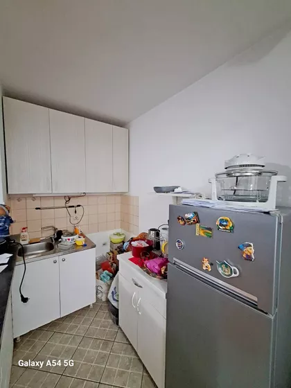 Dr Ivana Ribara | 4zida.rs