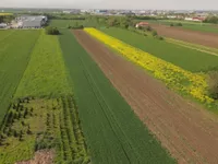 Dobanovci, Surčin opština, Beograd | 4zida.rs