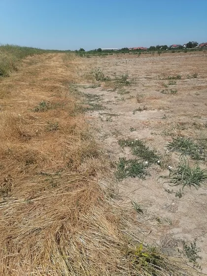 Đure Đakovića | 4zida.rs