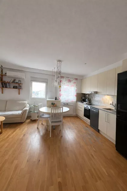 Dr Ivana Ribara | 4zida.rs