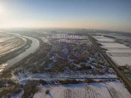 Bašaidski Drum | 4zida.rs