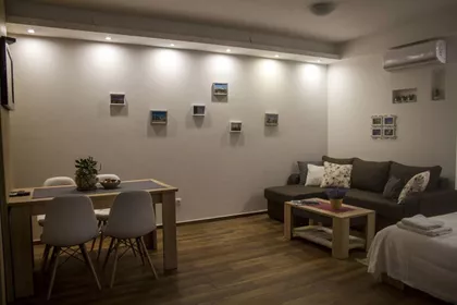 Novi Sad - Centar | 4zida.rs