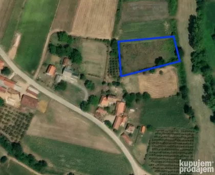 Kumanica | 4zida.rs