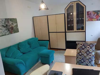 Vase Pelagića | 4zida.rs