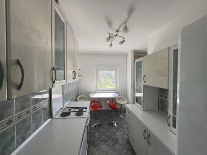 Dr Ivana Ribara | 4zida.rs