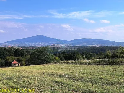 Solunskih ratnika | 4zida.rs