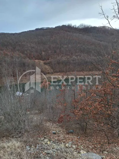 Zavojsko Jezero | 4zida.rs