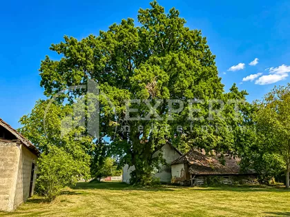 Donja Trnava | 4zida.rs