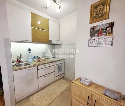 Dr Ivana Ribara | 4zida.rs