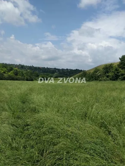 Čortanovci | 4zida.rs