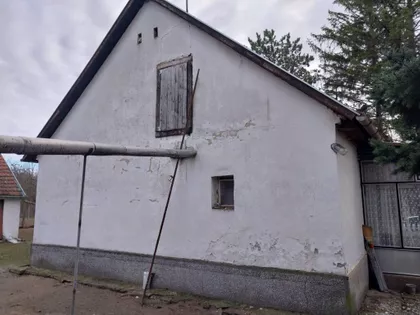 Srpski Šor | 4zida.rs