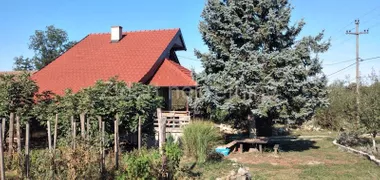 Lisović
