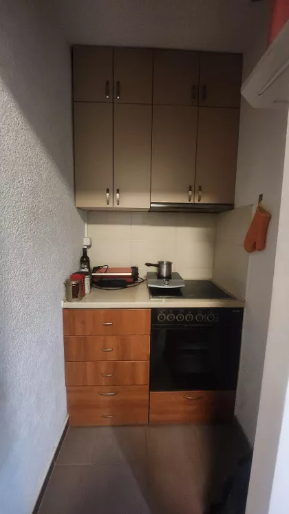 Ulofa Palmea bb | 4zida.rs