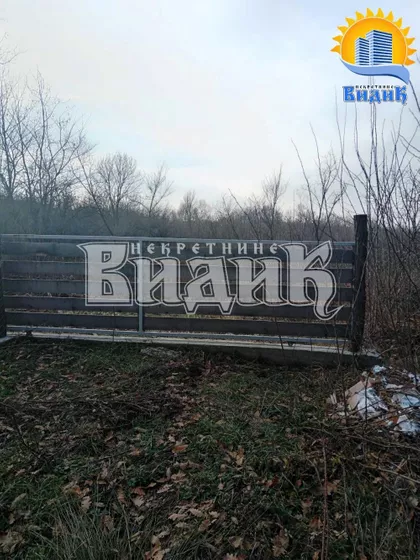 Dobrivoja Maksimovića | 4zida.rs